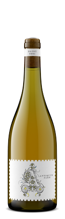 Antiquum Farm - Pinot Gris Daisy 2024