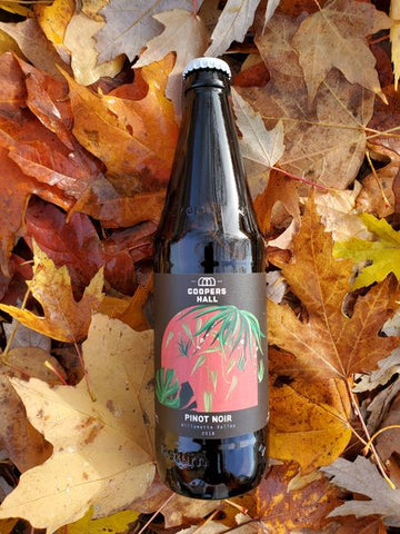 Coopers Hall - Pinot Noir 2019 500ml returnable bottle