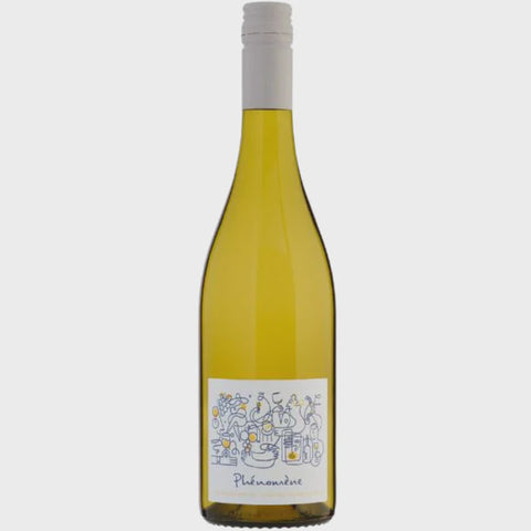 Ollivier Cottenceau - Muscade Phénomene NA