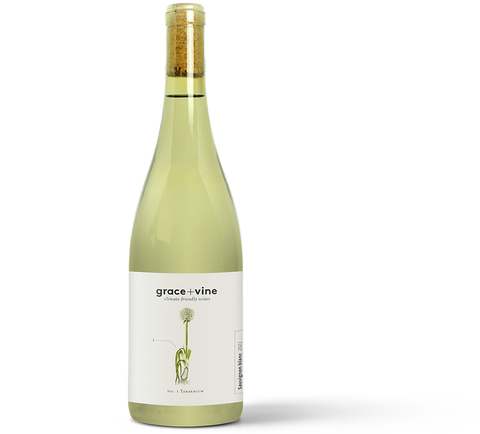 Grace + Vine - Sauvignon Blanc 2021